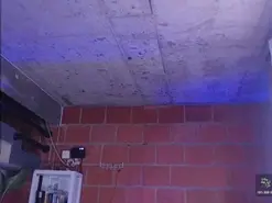 Amateur Free Porn Cam of taniaqueen19
