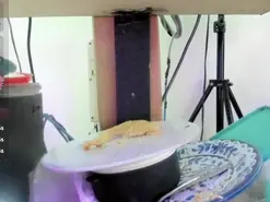 Amateur Private Sex Chat of camila_valkirye