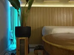 Amateur Nude Webcam of nina_soul