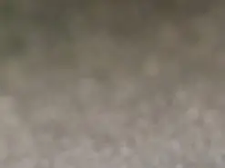 Amateur Live Porn of elio92