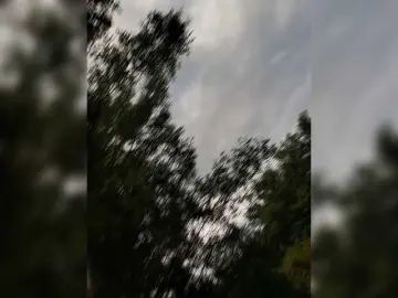 Bongacams Watch Live Sex Cams of 2Laski2