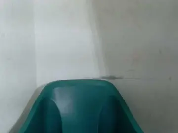 Bongacams Live Sex of Sugarxpussy