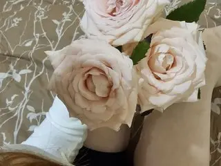 kattikiss