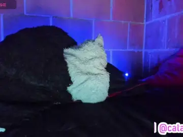 Bongacams Live Porn of cata-anngel