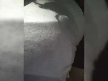 Bongacams Live Sex of Anmazing