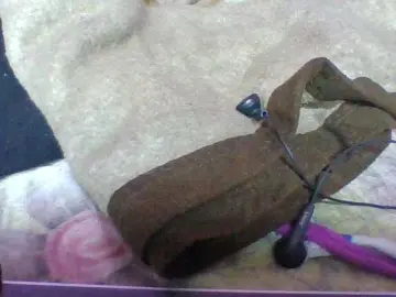 Bongacams Best live sex cam show of Elyah1a
