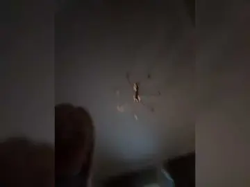 Bongacams Sex Cam of MariaMagdalena