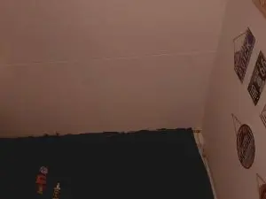 Cam4 Live Porn of thebeastmaster