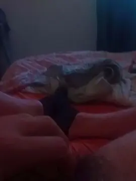 Cam4 Live Sex Cam of Pauzudoconteudo