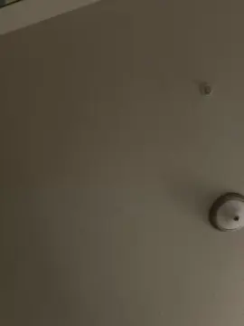 Cam4 Live Porn of bubblegumpussy2