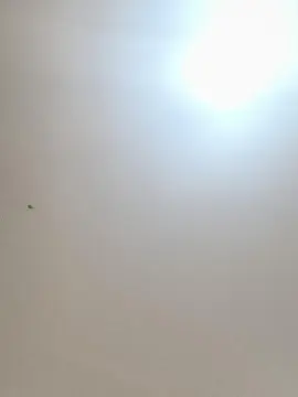 Cam4 Best live sex cam show of Daddyslut4u