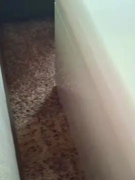 Cam4 Live Porn of camper561