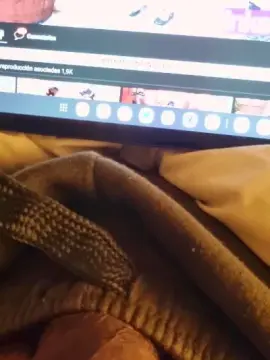 Cam4 Free Live Porn of krps01