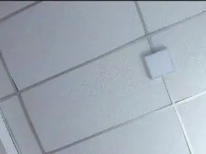 Cam4 Live Porn of emilyy__rosse