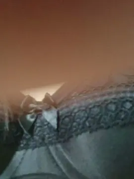 Cam4 Live Sex of Camily