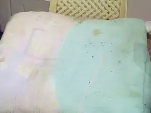 Cam4 Free Porn Cam of pacharrumba
