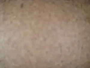 Cam4 Best live sex cam show of Don_chaquetas