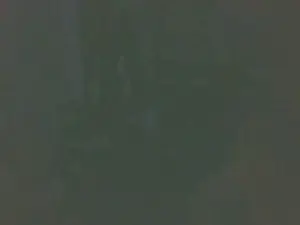Cam4 Live Porn of boost2469
