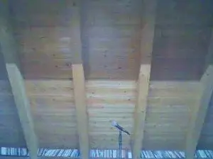 Cam4 Best Webcam of shaggyvery