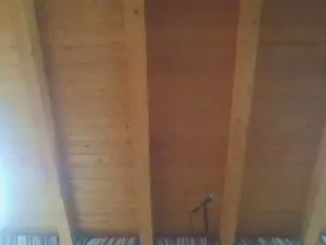 Cam4 Live Sex of shaggyvery