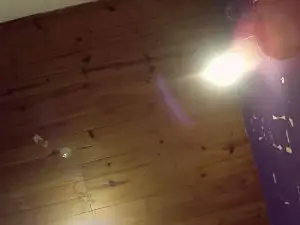 Cam4 Free Live Porn of chulo272