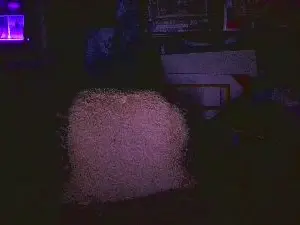 Cam4 Live Sex of blindsurfer