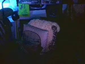 Cam4 Adult Video Chat of blindsurfer