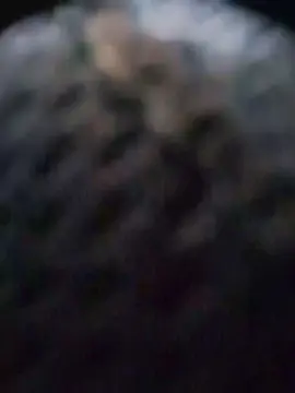 Cam4 Watch Live Sex Cams of paulo_cam24