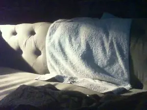 Cam4 Watch Live Sex Cams of Avitus630