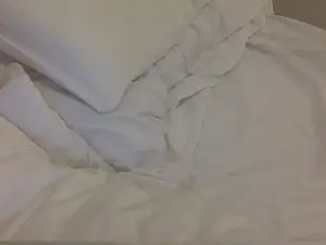 Cam4 Live Sex of bigjohnnyroc