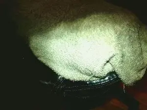 Cam4 Free Live Porn of tiny1999