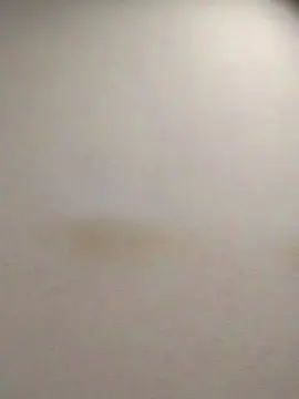 Cam4 Live Sex Cam of tonytuga