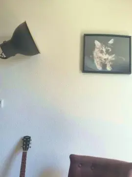 Cam4 Live Porn of JOEY2604