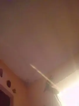 Cam4 Nude Webcam of fantasysex84