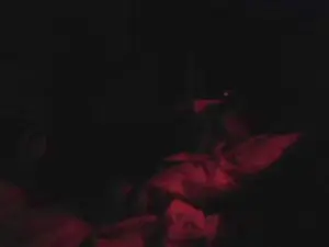Cam4 Live Sex of zena_xxx
