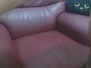 Cam4 Adult Webcam of likebesucked