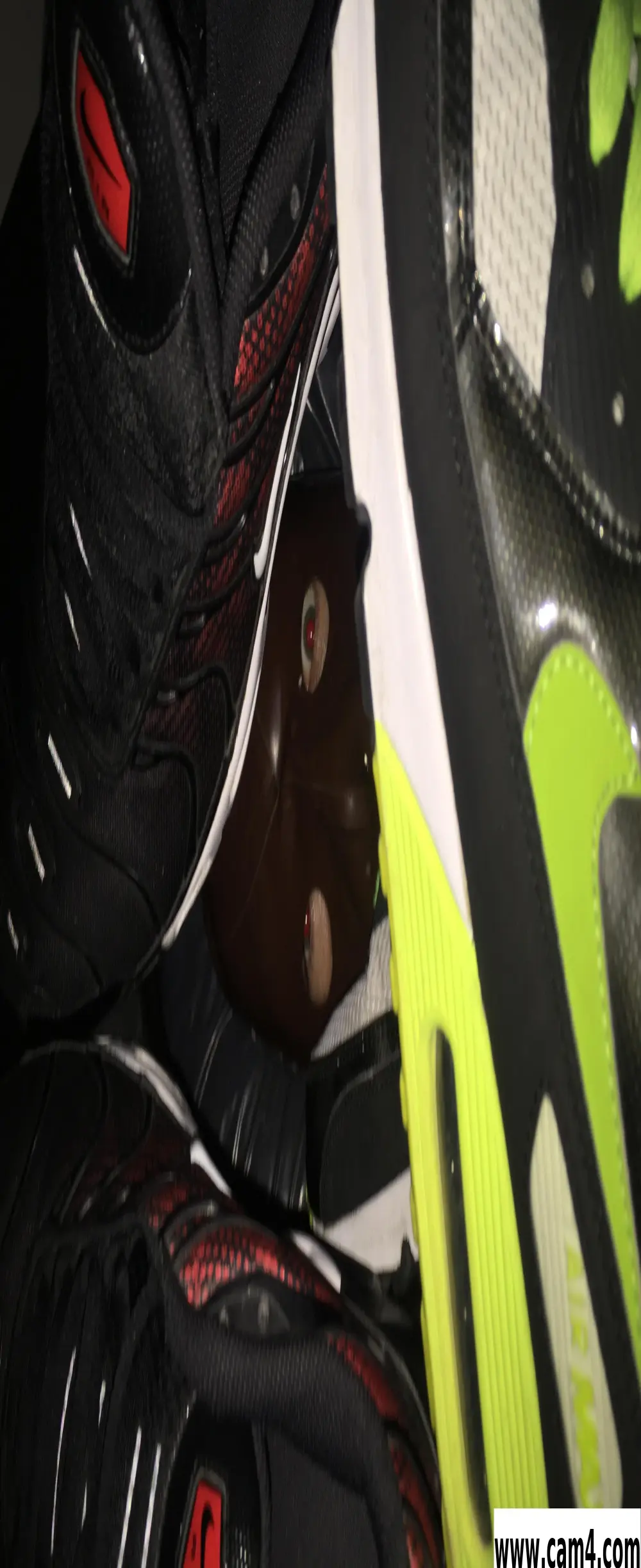 sneakpig