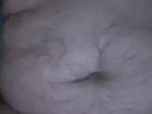 Cam4 Live Porn of caliente865