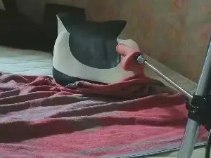 Cam4 Live Sex of Wedgeetlili