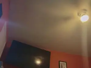Cam4 Free Porn Cam of Bearchub300