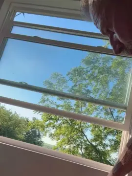 Cam4 Live Sex Cam of vaginaslayer68