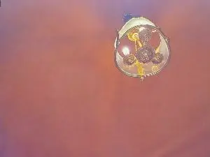 Cam4 Live Sex Cam of LorriSnook