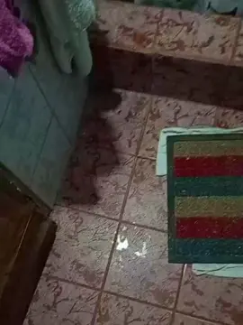Cam4 Live Sex Cam of pablo42xxx