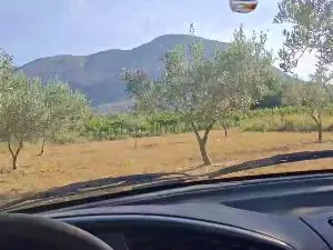 Cam4 Live Sex of Xicodenia