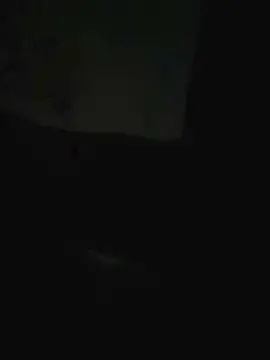 Cam4 Free Live Porn of Sexylatinogay