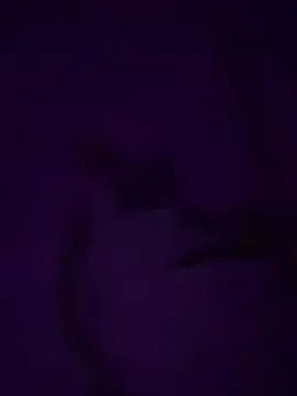 Cam4 Adult Webcams of DraventheDread