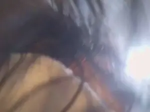 Cam4 Best Webcam of Bombomepimenta