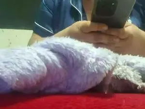 Cam4 Watch Live Sex Cams of kiki2729_xxx4