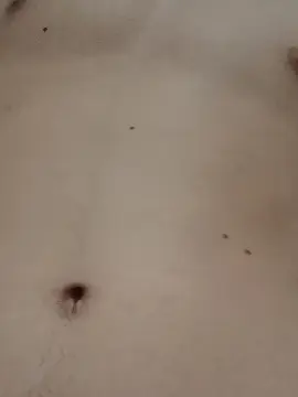 Cam4 Nude Webcam of NOVINHOMUDO