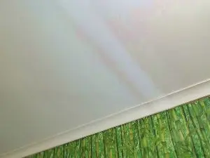 Cam4 Free Live Porn of mshairys